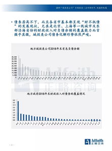 什么是咨询报告