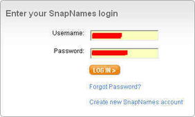 snapnames,snapnames域名抢注