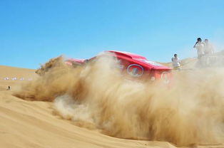 布丁网的网站概况