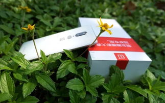 没有月牙白怎么办