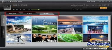 巨鲸音乐网的发展窘境