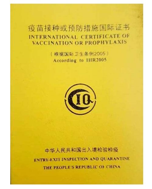 “白皮书”是什么意思？