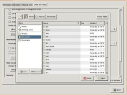 常见的文件系统有哪些？