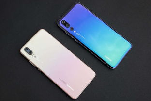 贝勒爷是什么意思视频，贝勒爷是什么意思? 新闻