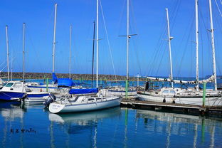 西太平洋国家有哪些