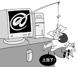 常见的社会问题有哪些?