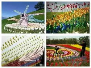 为什么风车网赚的客服加不了，没有该号码，为什么