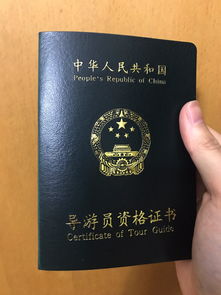 申请领队证需要什么条件