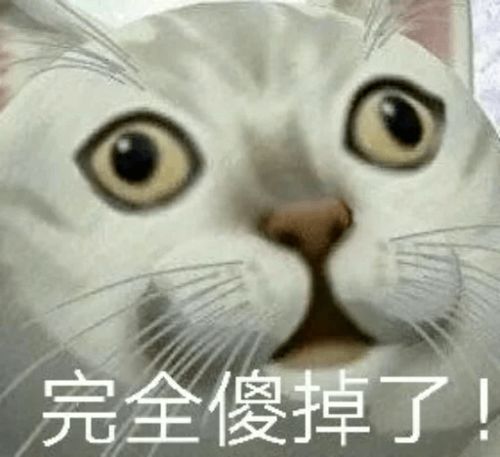 憨憨是什么意思