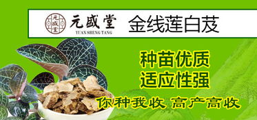 给点赚钱好点子