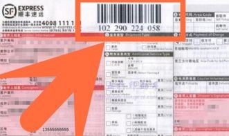 顺丰快递单号查询？