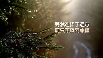 因果关系的关联词有哪些