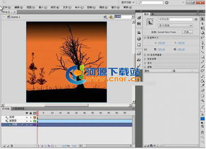 什么是Adobe Flash