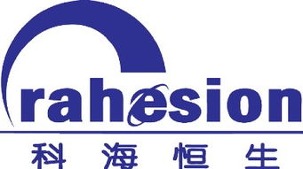 请问恒生控股集团有限公司是做什么的？