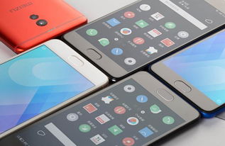 魅族社区的会员都是什么等级