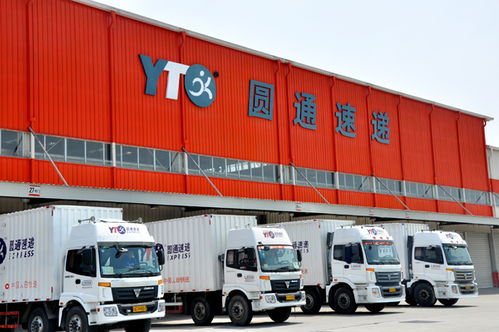 加运美是什么？