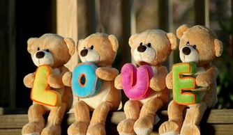 漂亮宝贝毛绒玩具怎么样，我想开个玩具店