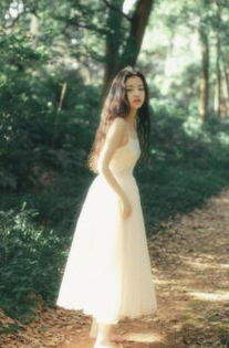 清新脱俗的意思解释,清新脱俗的句子