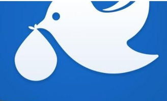 丹鸟快递是什么？