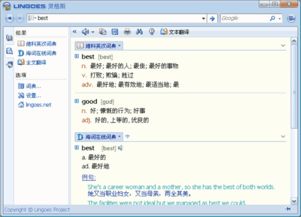 灵格斯在线翻译手机版,灵格斯翻译怎么用