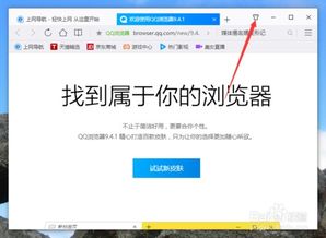 浏览器皮肤什么意思?