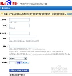 怎么查网站流量