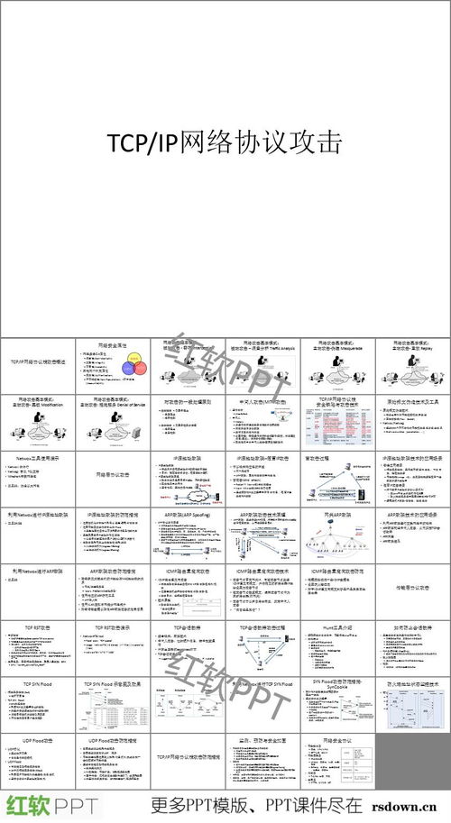信息安全概论  论文