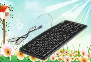 键盘突然失灵了怎么办