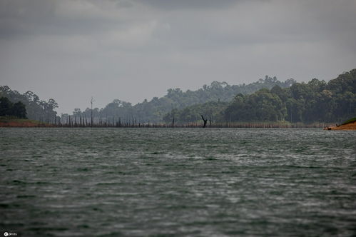 世界上最大的湖泊?