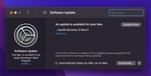 苹果开发者中心 certificate在哪