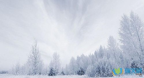 描写雪景的片段150字