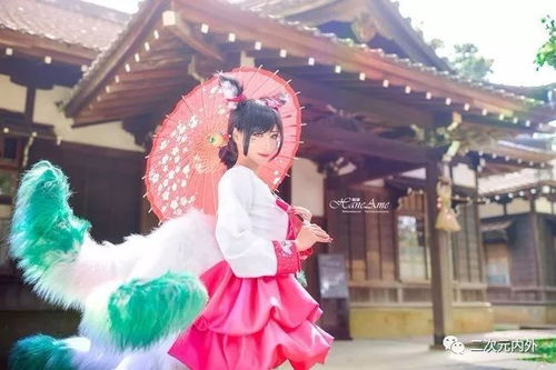 高丽在哪，lol里阿狸的高丽风情是什么意思，还有他