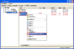 autorun是什么意思？