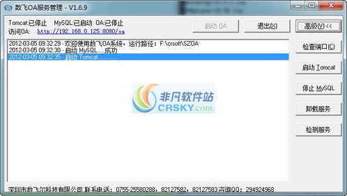 建立一个在线投票系统