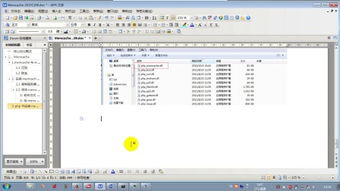 cachecache是什么牌子