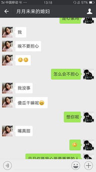 白痴是什么意思？