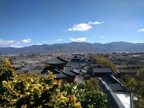 什么是地方特色