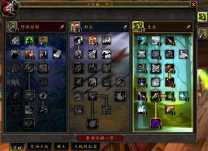 猎人天赋 tbc nga,猎人天赋9.1