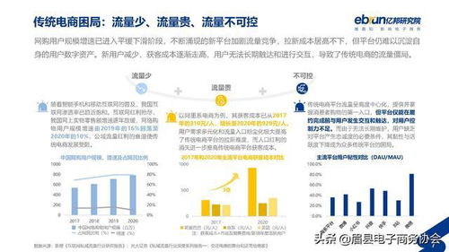 垂直电商是什么意思?