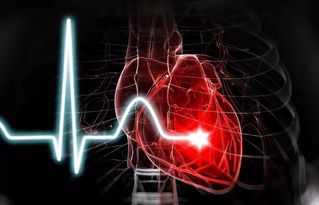 可见血流信号是什么意思