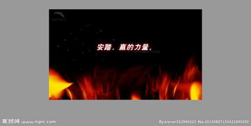 什么是FLASH广告？？