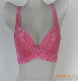 女士内衣品牌排行榜 !