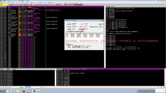 谁能详细解说下脱壳步骤和软件