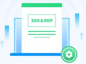 小鸟云服务器连接后怎么登陆？