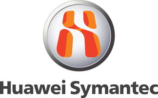 华为赛门铁克科技有限公司是干什么的