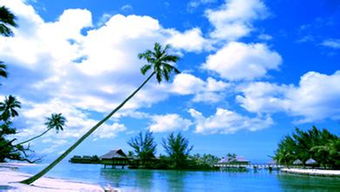 欣欣旅游网的各项数据