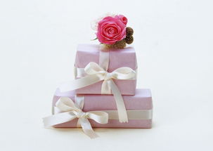 送女朋友礼物排行榜学生党,送女生礼物排行榜