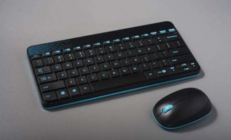 电脑鼠标不动了键盘也没反应时怎么回事啊?