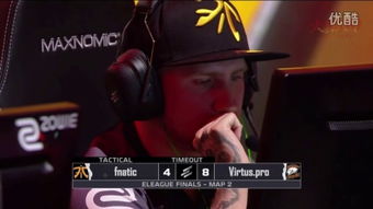 Fnatic什么意思啊？