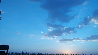 哪有卖一种蓝色的仙人球，叫蓝云？